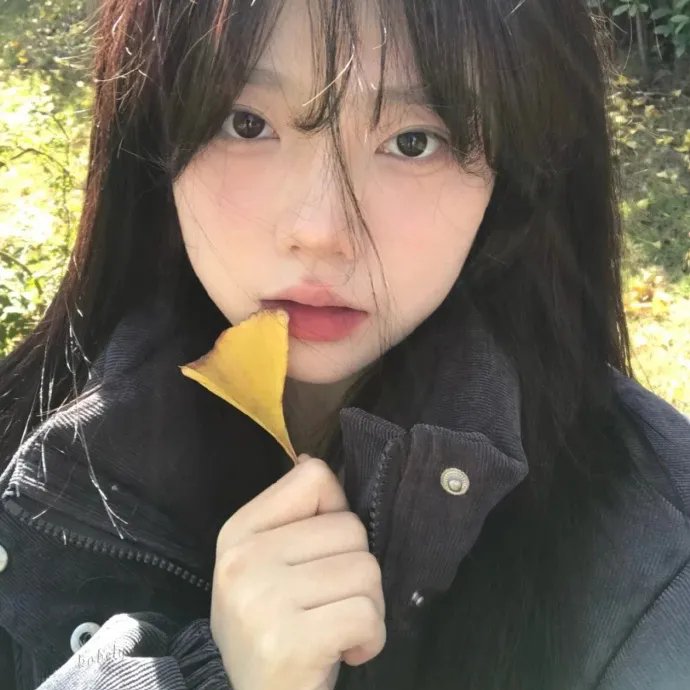 电影版 摇曳露营△